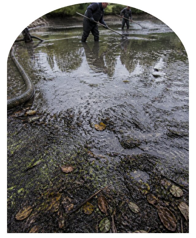 Очистка пруда в Бугульме от ила мусора и водорослей с вывозом
